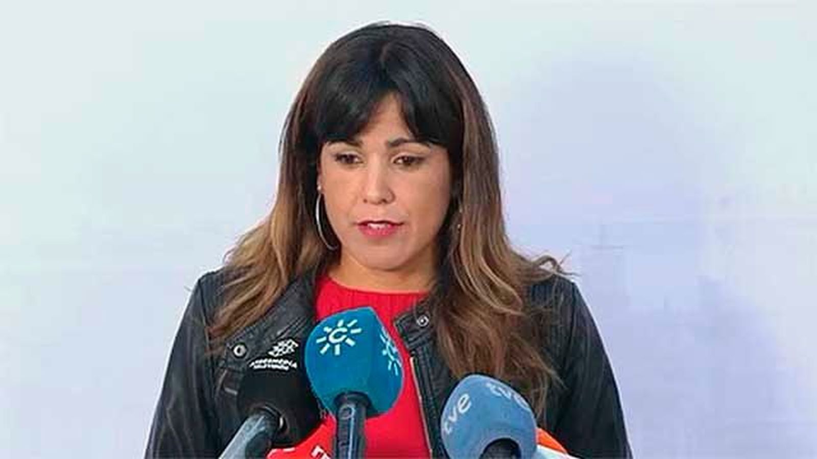 Podemos Andalucía se declara "organización autónoma"