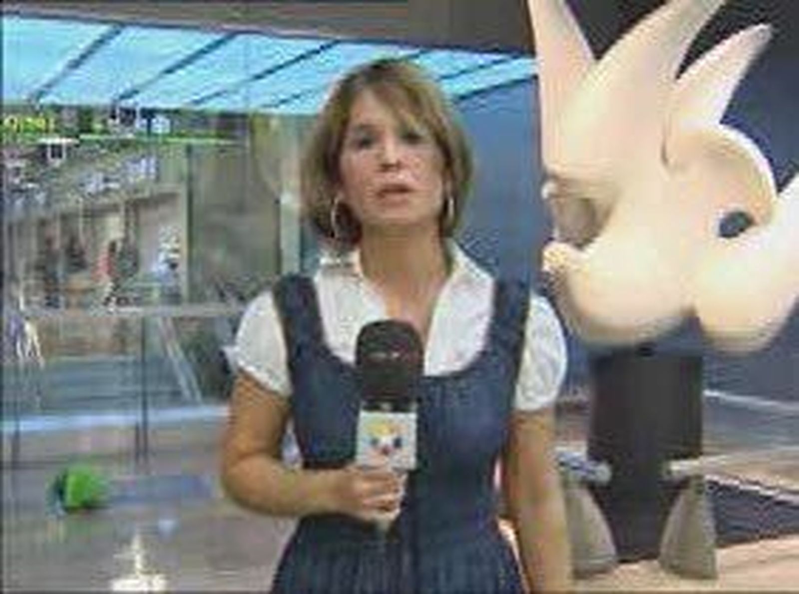 Sapanair_accidente2_2010820V0.wmv