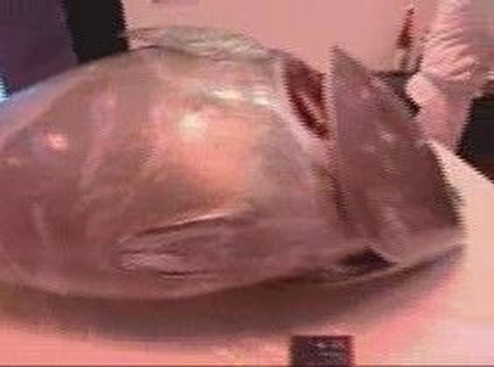 El arte del ronqueo en el Salón del Gourmet