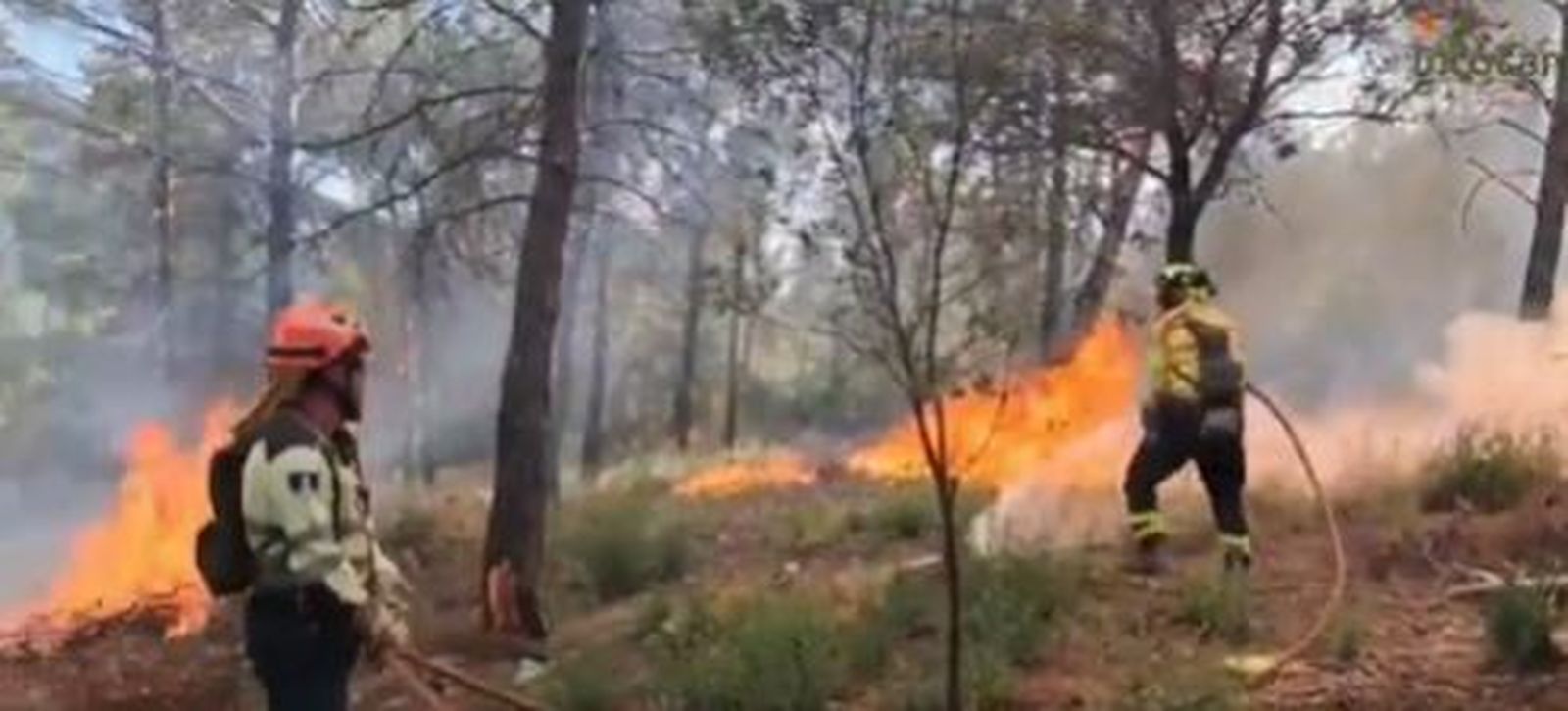Bomberos sofocan el fuego de un incendio forestal en Albacete