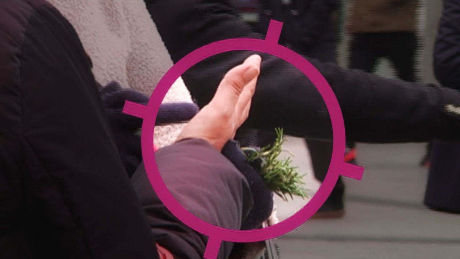 El negocio de las mujeres que reparten romero en la Puerta del Sol
