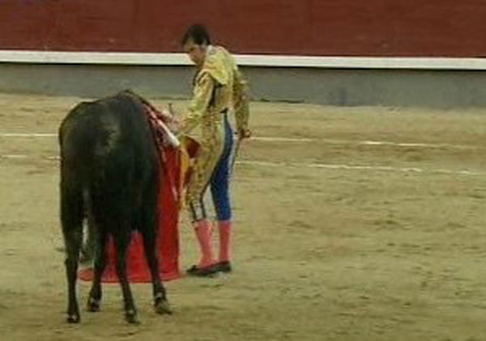 sanisidro15
