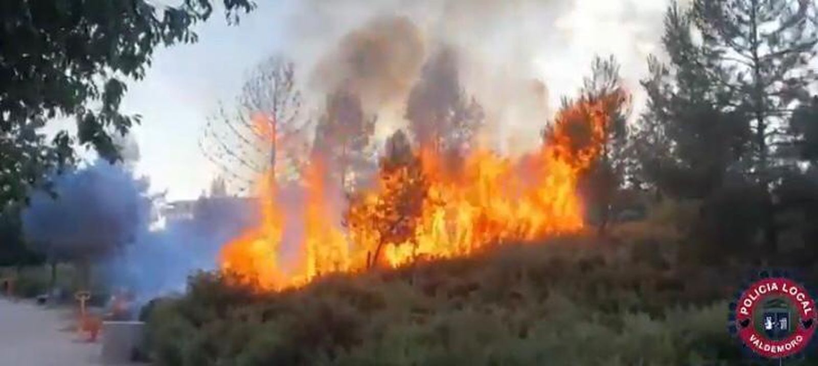 Incendio en el parque Adolfo Suárez de Valdemoro