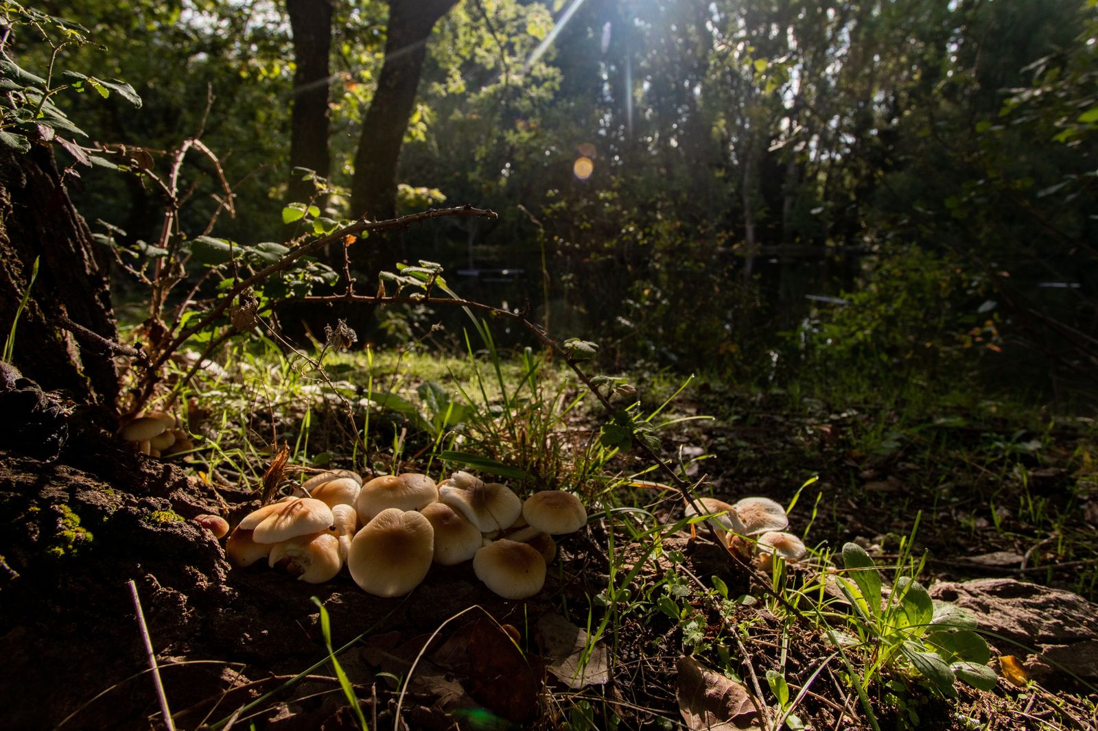 ¿Cuándo empieza el otoño y cuándo se cambia la hora?