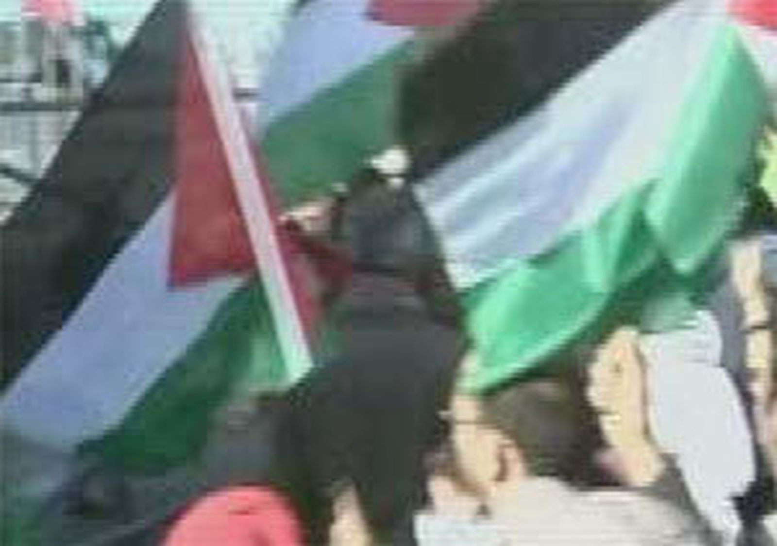 Banderas palestinas