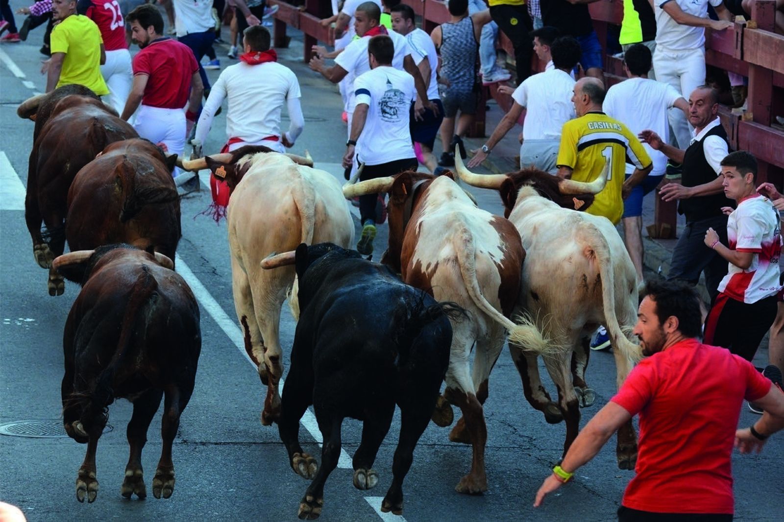 Encierros de San Sebastián de los Reyes