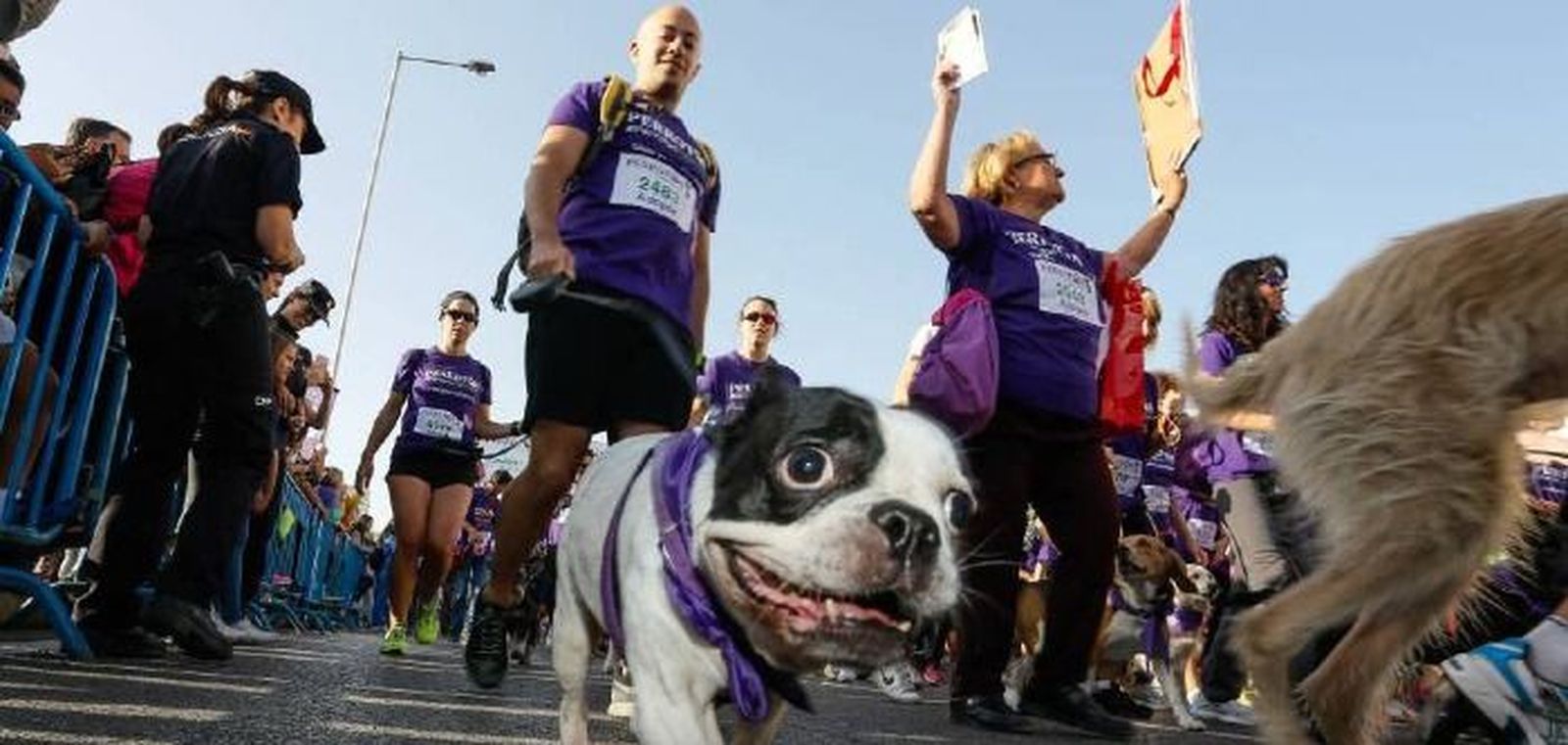 Perrotón Madrid vuelve el 10 de  octubre con más de 5.000 participantes