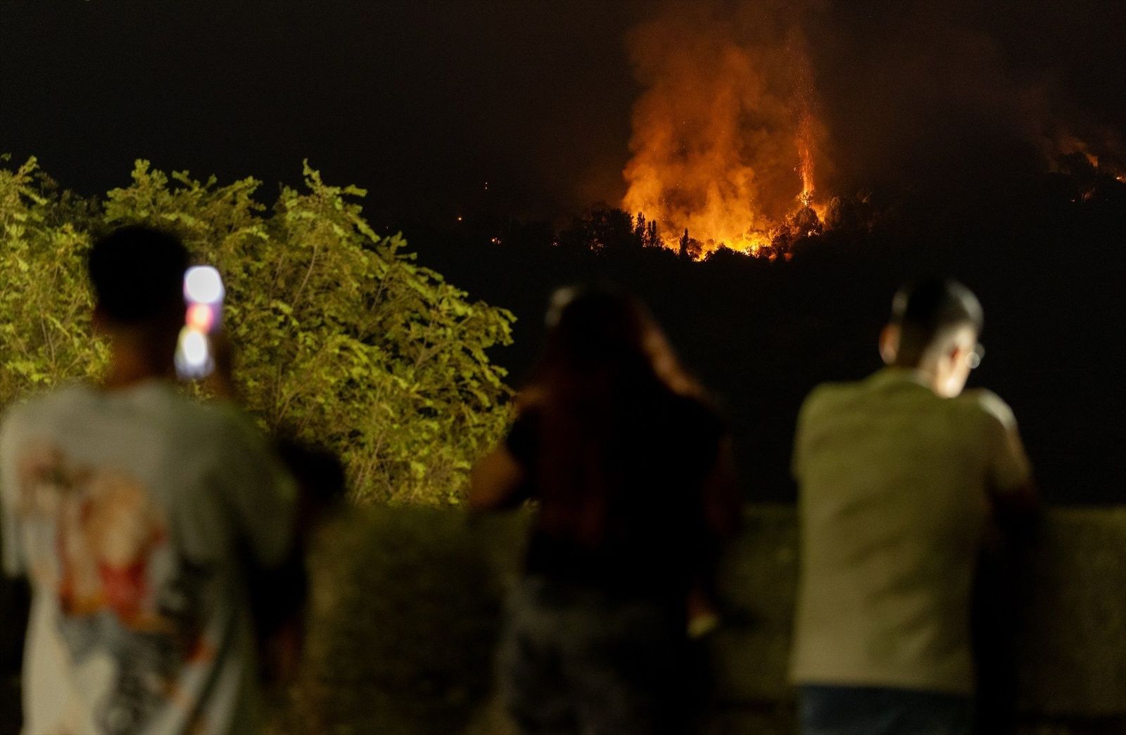 Los expertos alertan: la acumulación de combustible vegetal agrava los incendios forestales