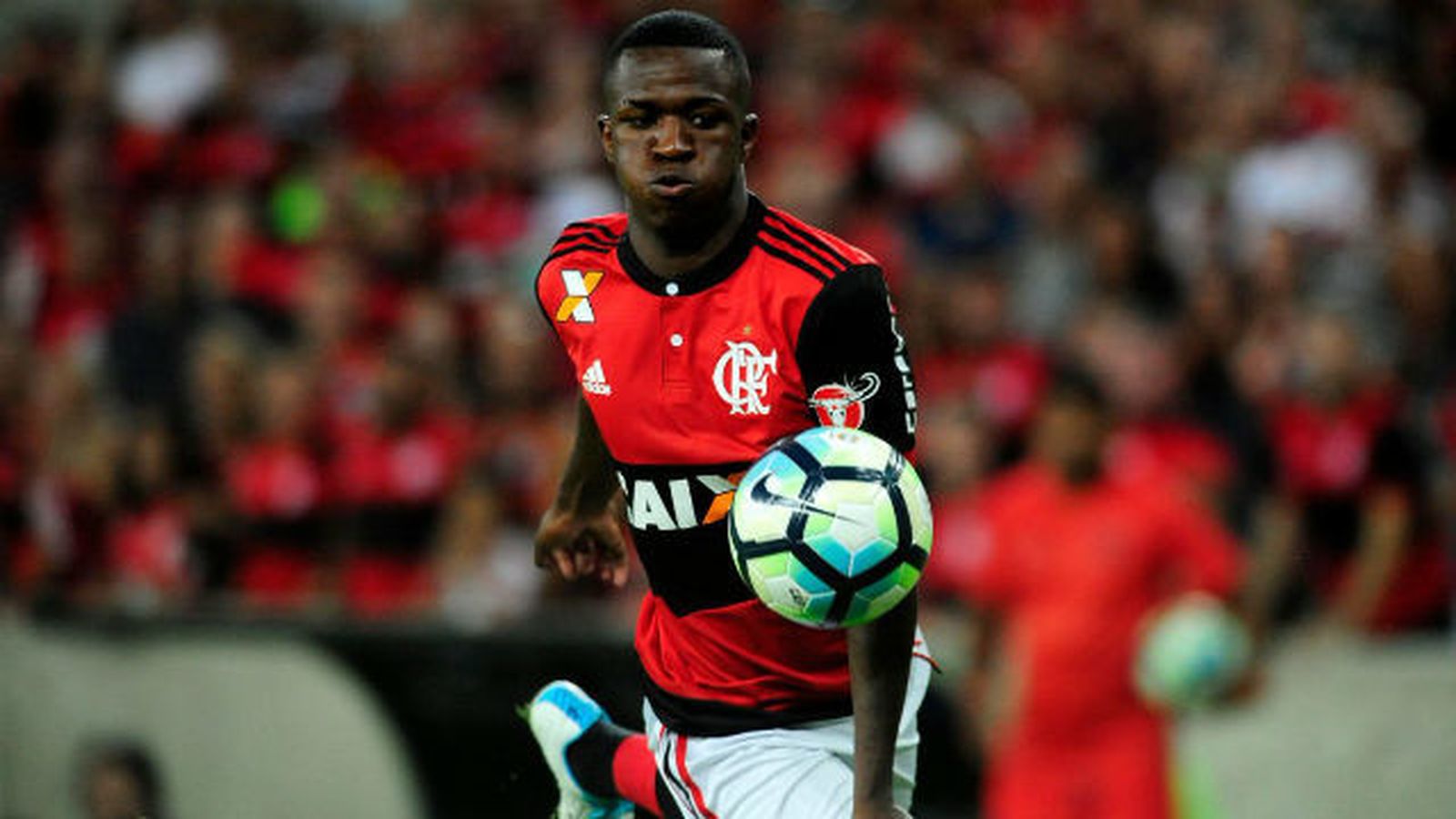 Vinicius