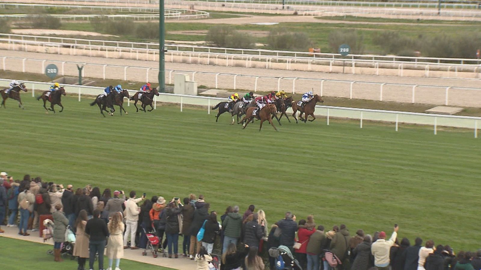 El Hipódromo de La Zarzuela inaugura la temporada con éxito de público