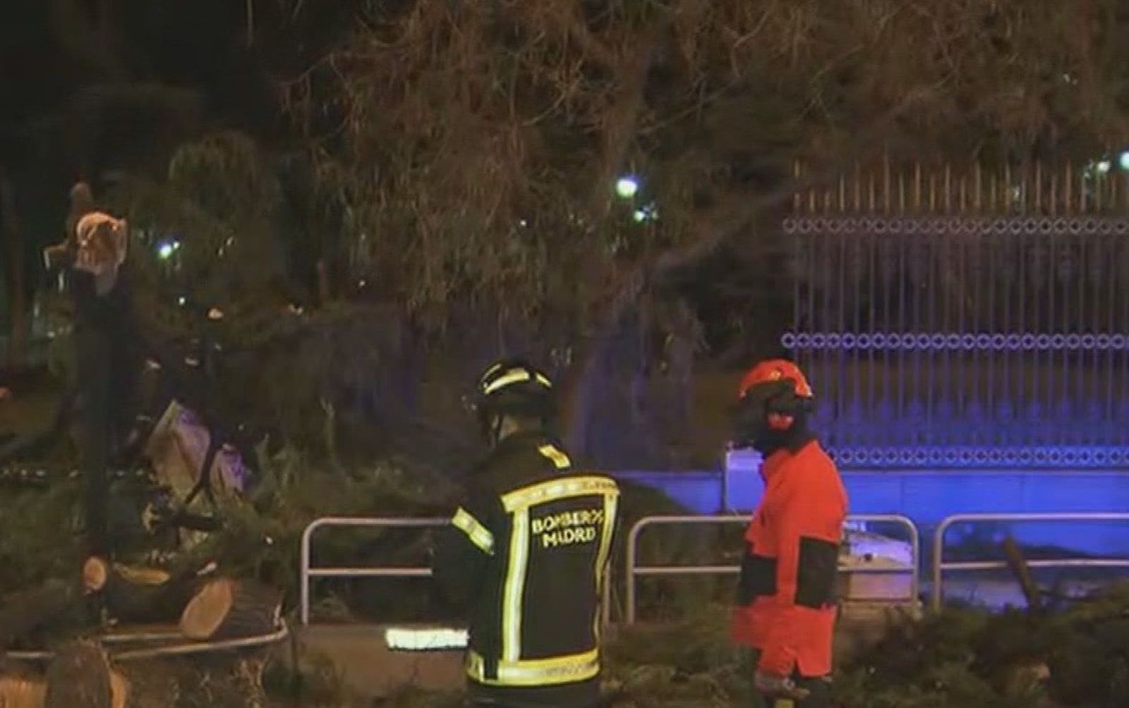 El viento provoca la caída de un enorme pino en Cibeles, sin provocar víctimas