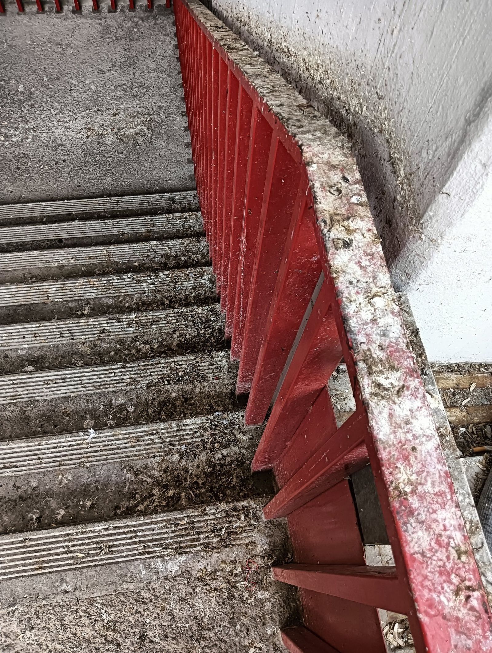 Por imágenes como estas al Rayo le han retirado la concesión de su estadio