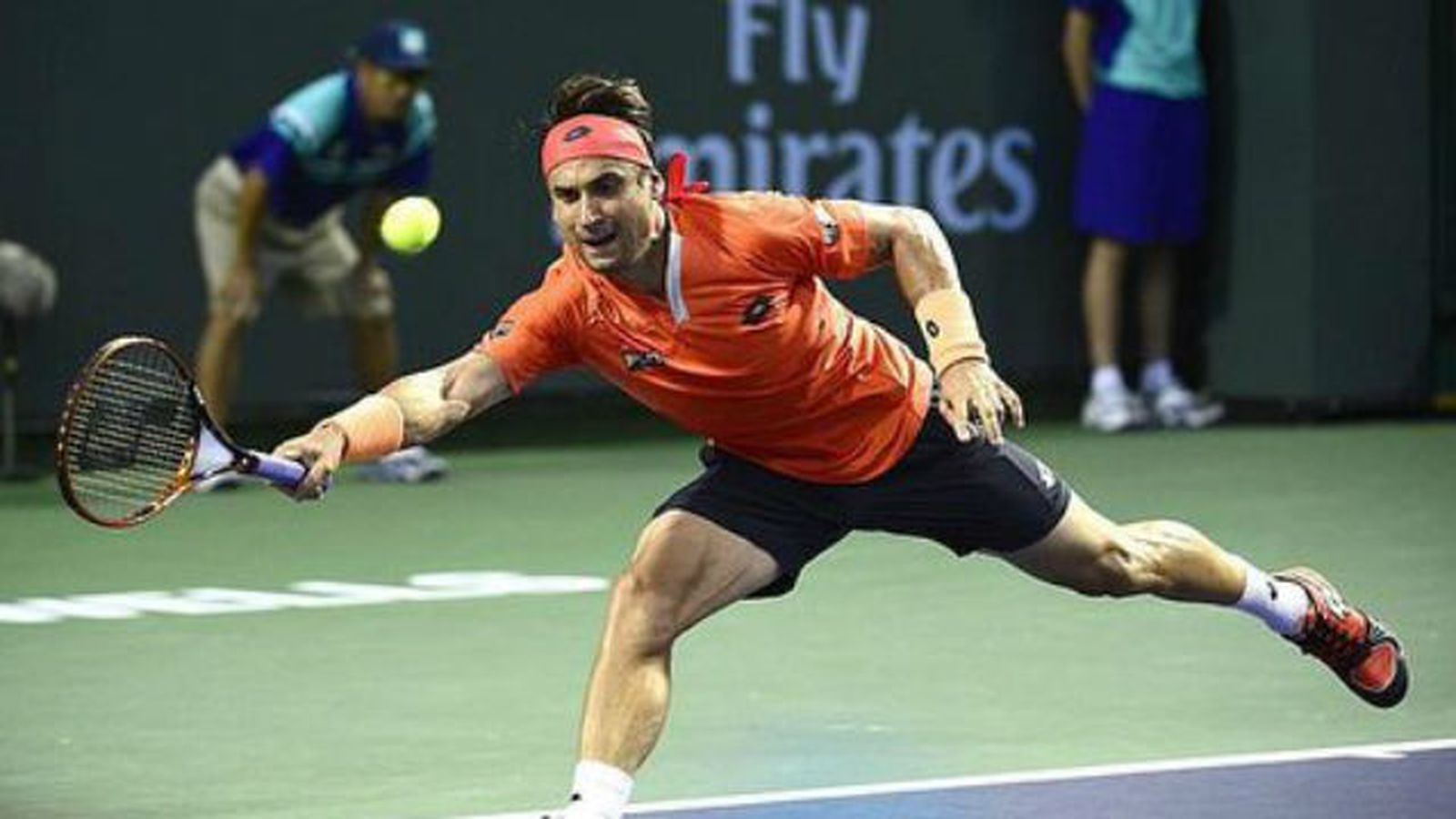 David Ferrer