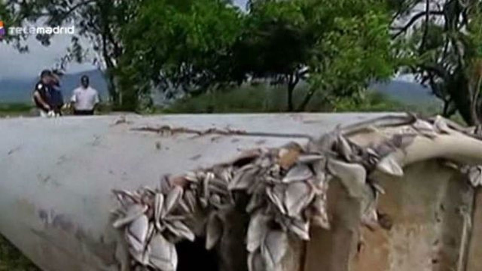 Malasia confirma el hallazgo en La Reunión de más restos del avión desaparecido