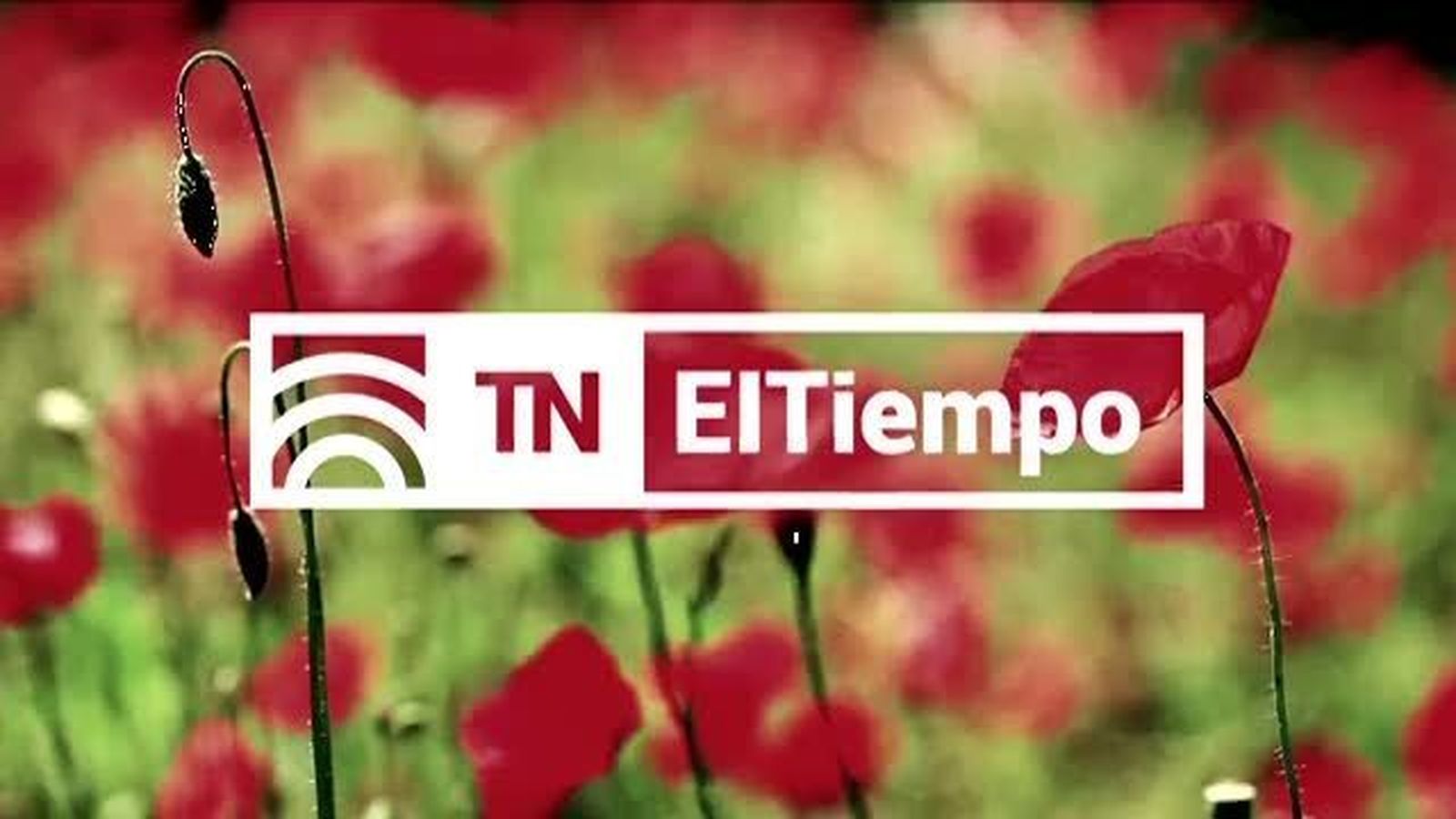 El Tiempo 1 13.05.2018
