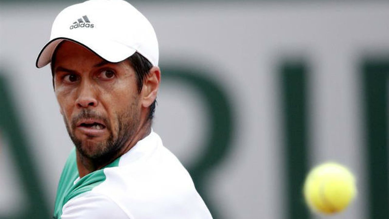 Fernando Verdasco
