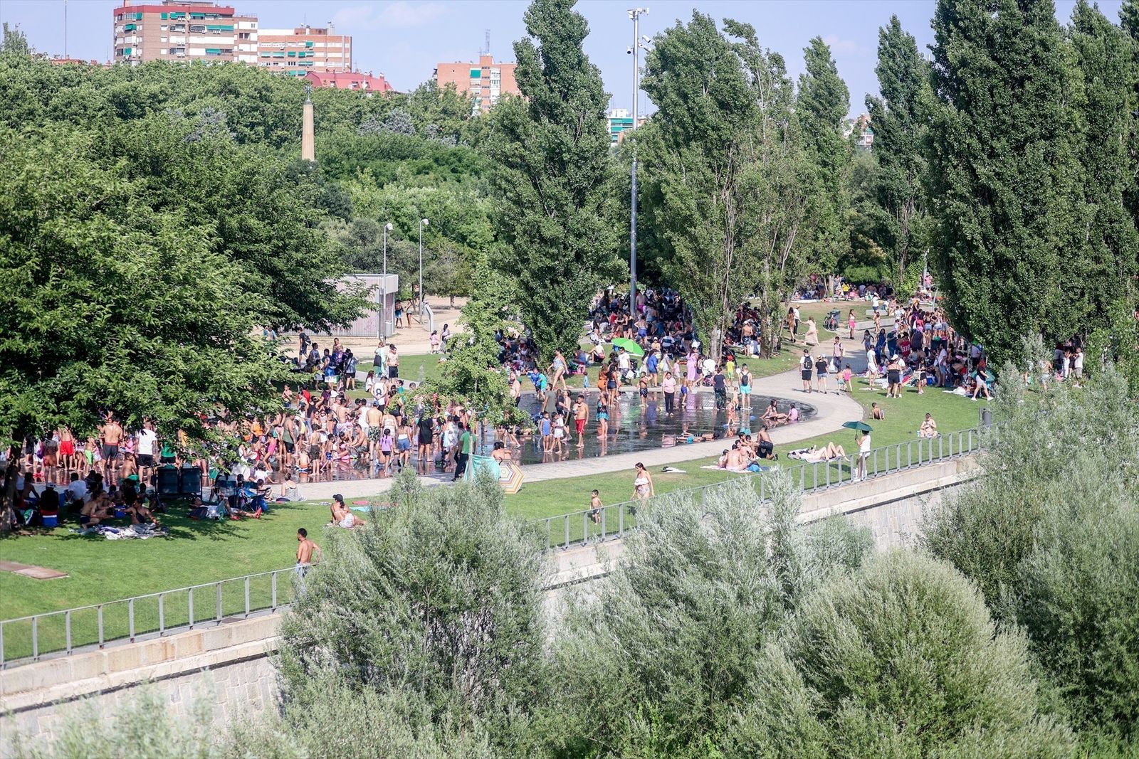El Ayuntamiento de Madrid niega que haya una plaga de ratas en Madrid Río