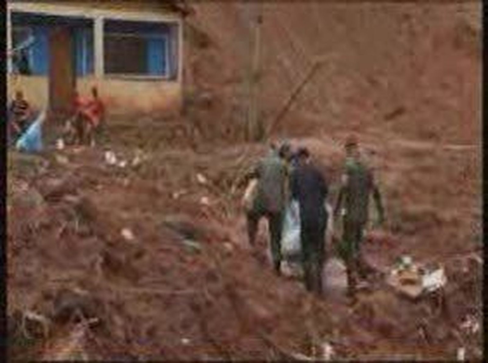7brasil_2011118V0.wmv