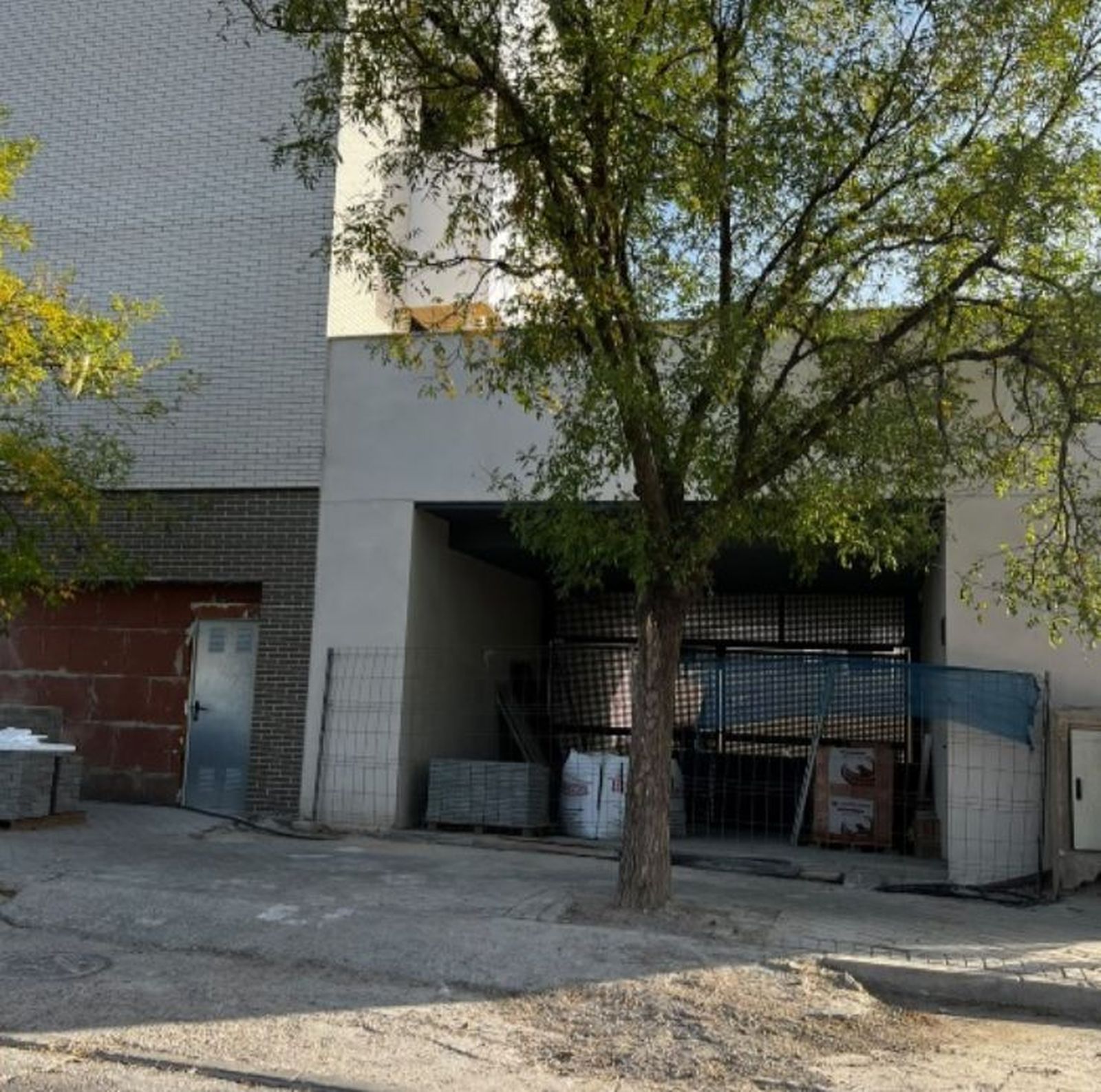 El árbol situado frente al garaje de un edificio residencial de Butarque, en Villaverde