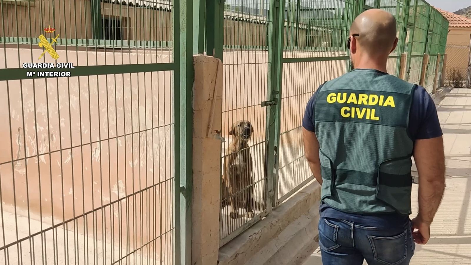 Operación ´Dogs Rescue`de la Guardia Civil
