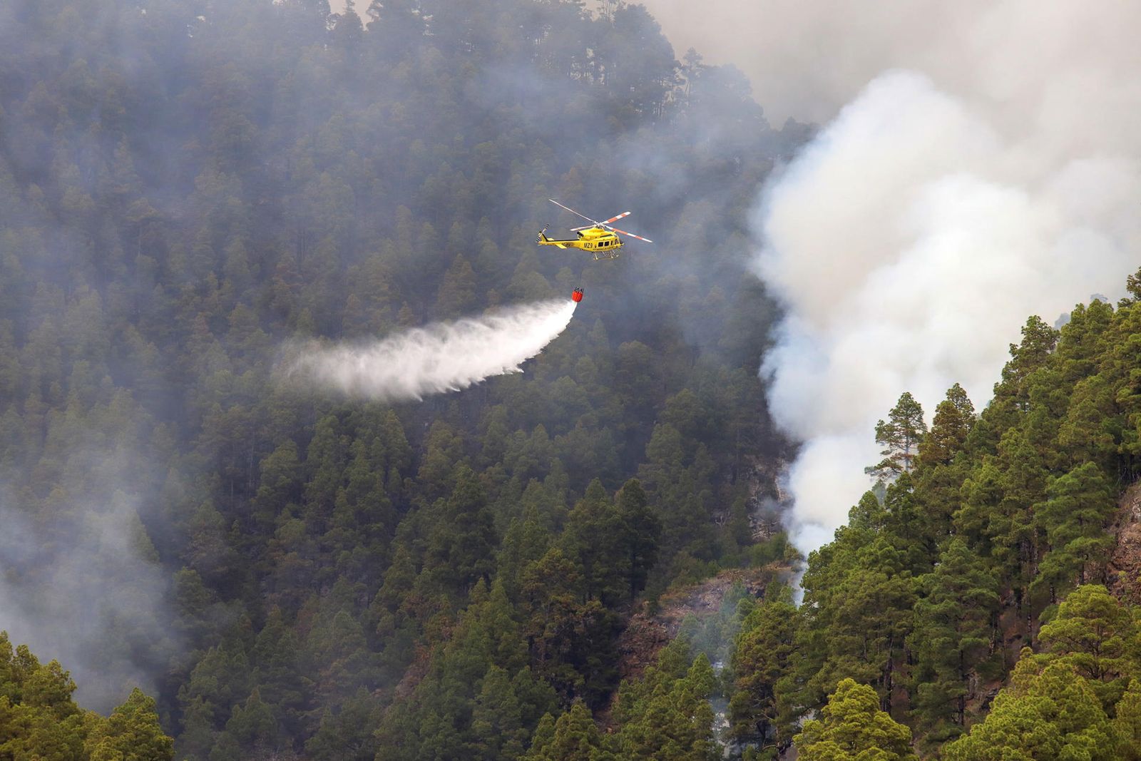 El fuego en La Palma sigue activo y afecta a más de 200 hectáreas en la Caldera de Taburiente