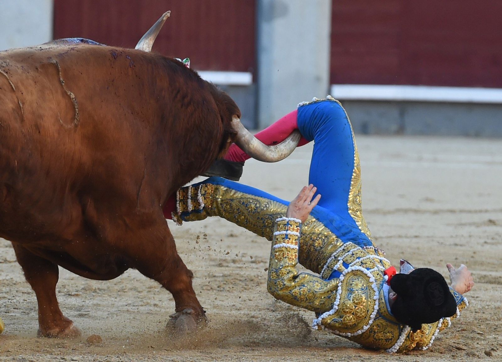 Cogida a Sebastián Ritter en Las Ventas