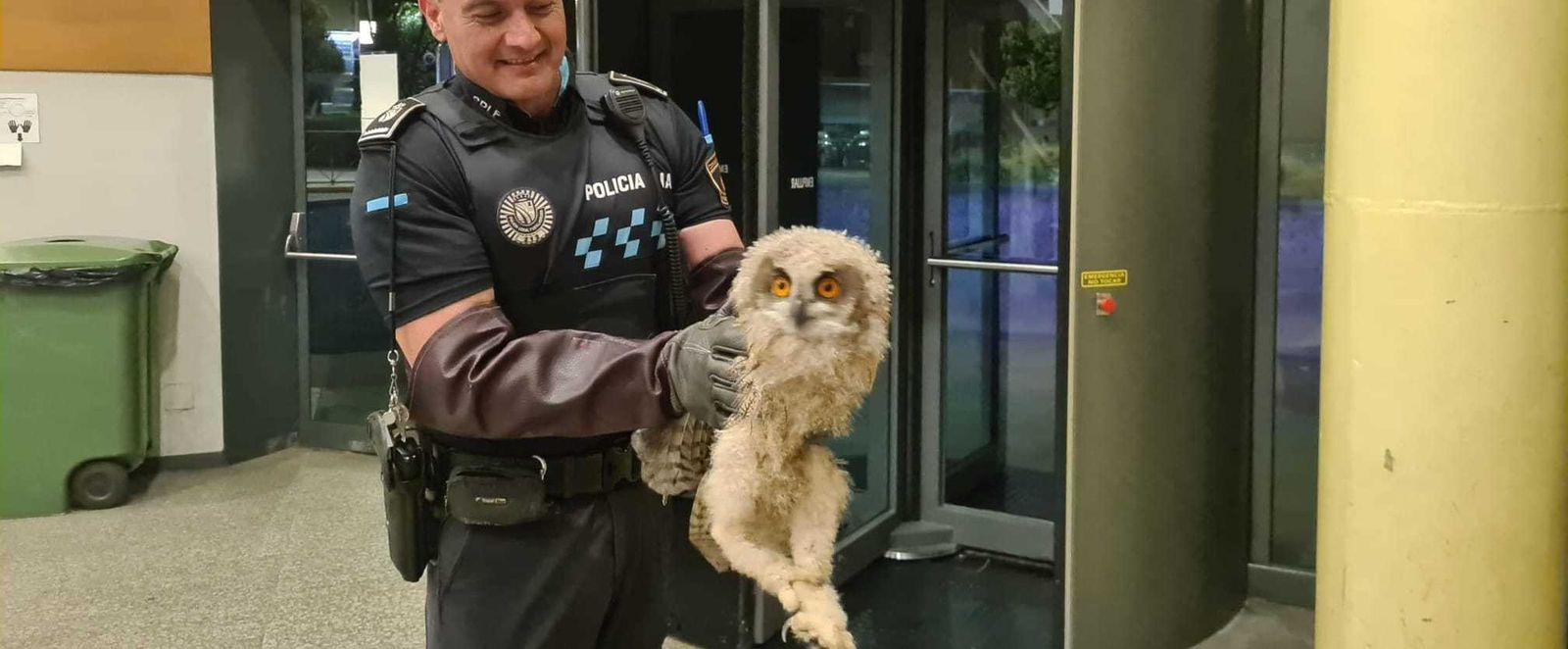 Un agente de Fuenlabrada con la cría de búho recuperada