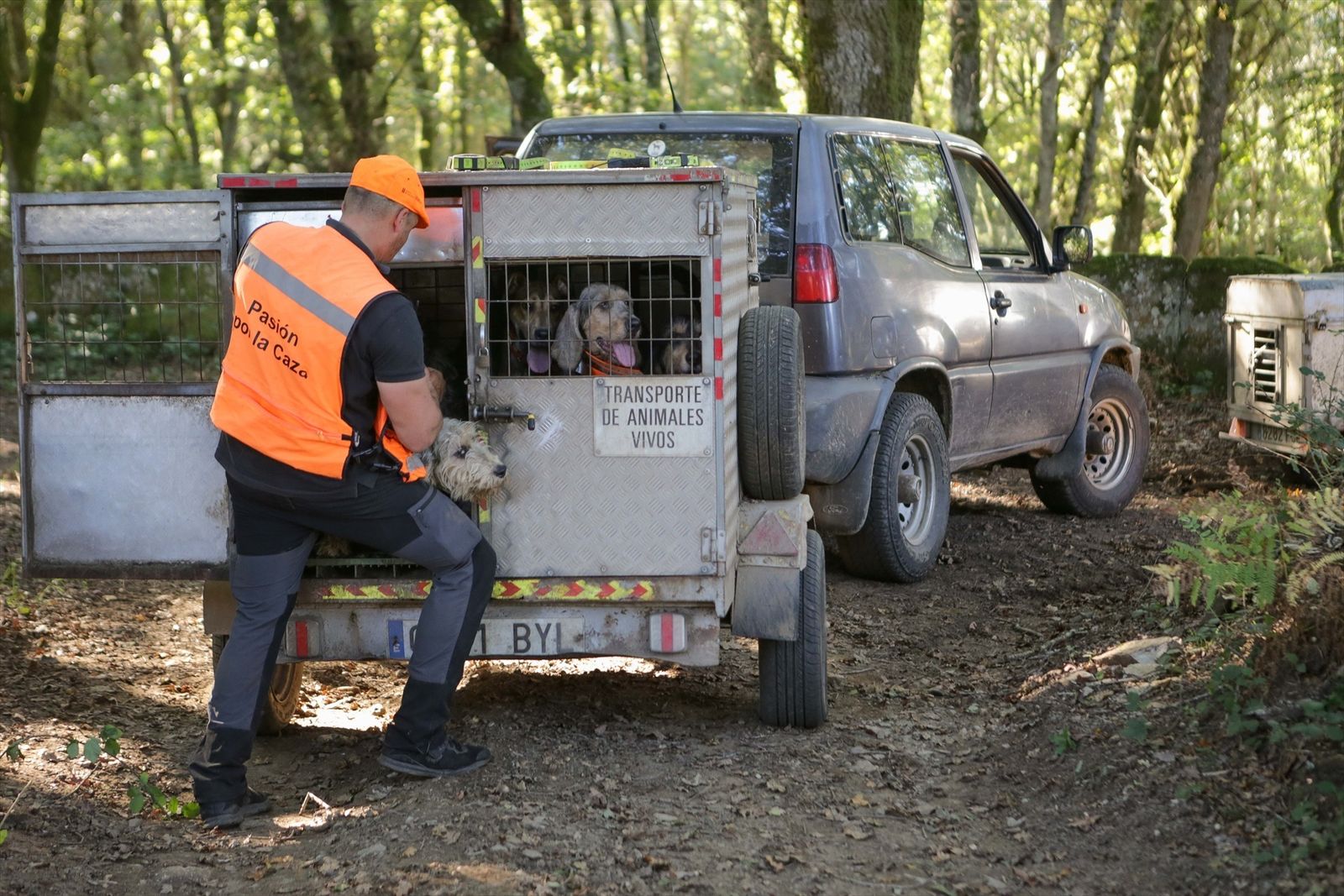 Un cazador con sus perros en un monte de Galicia