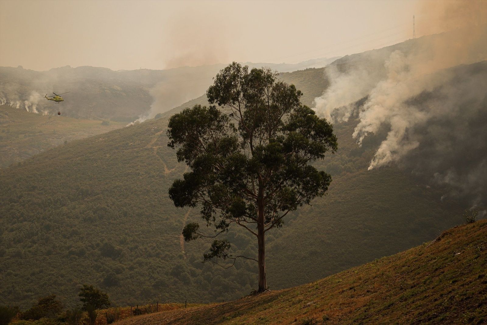 Tres incendios activos siguen arrasando Galicia, todos ellos en la provincia de Orense