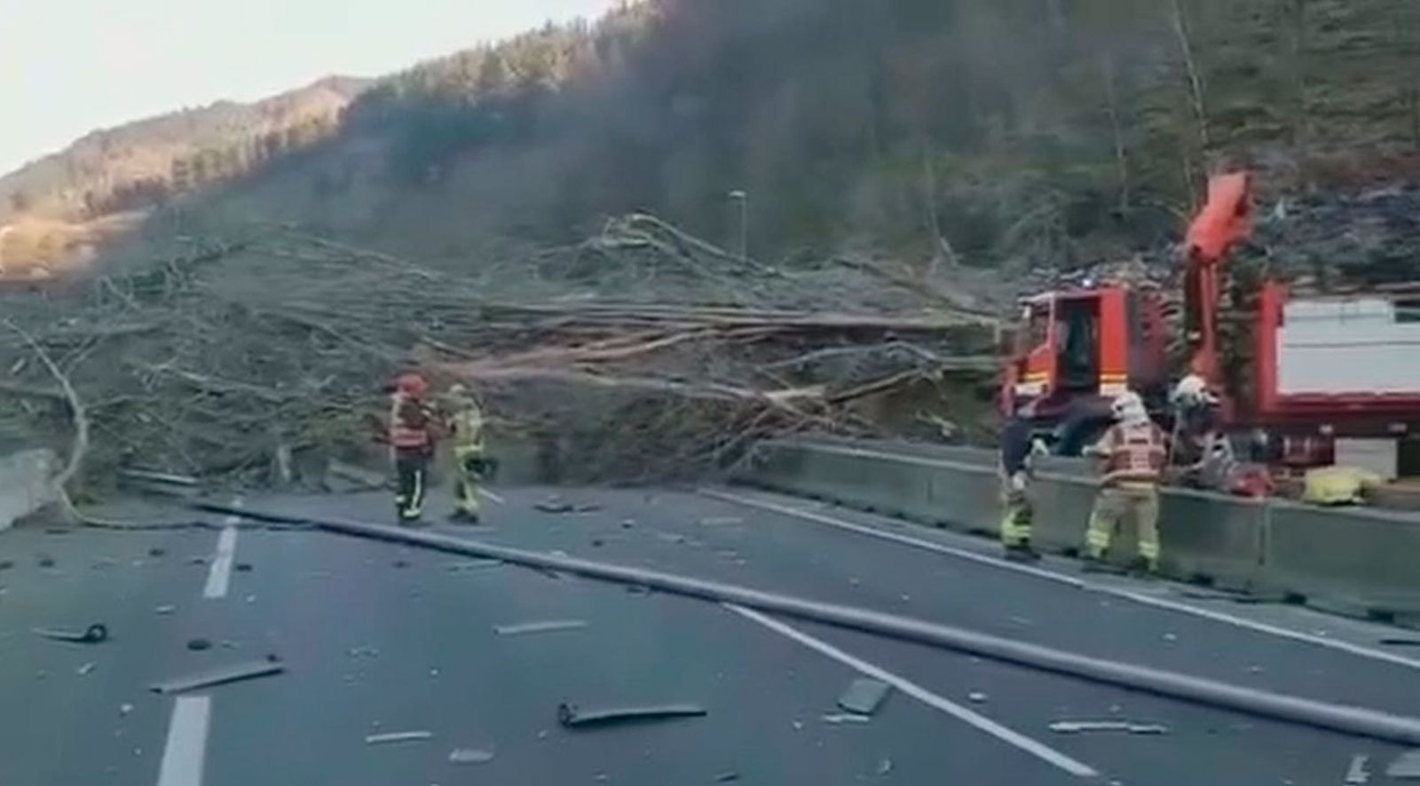 Un arbol corta la AP-8