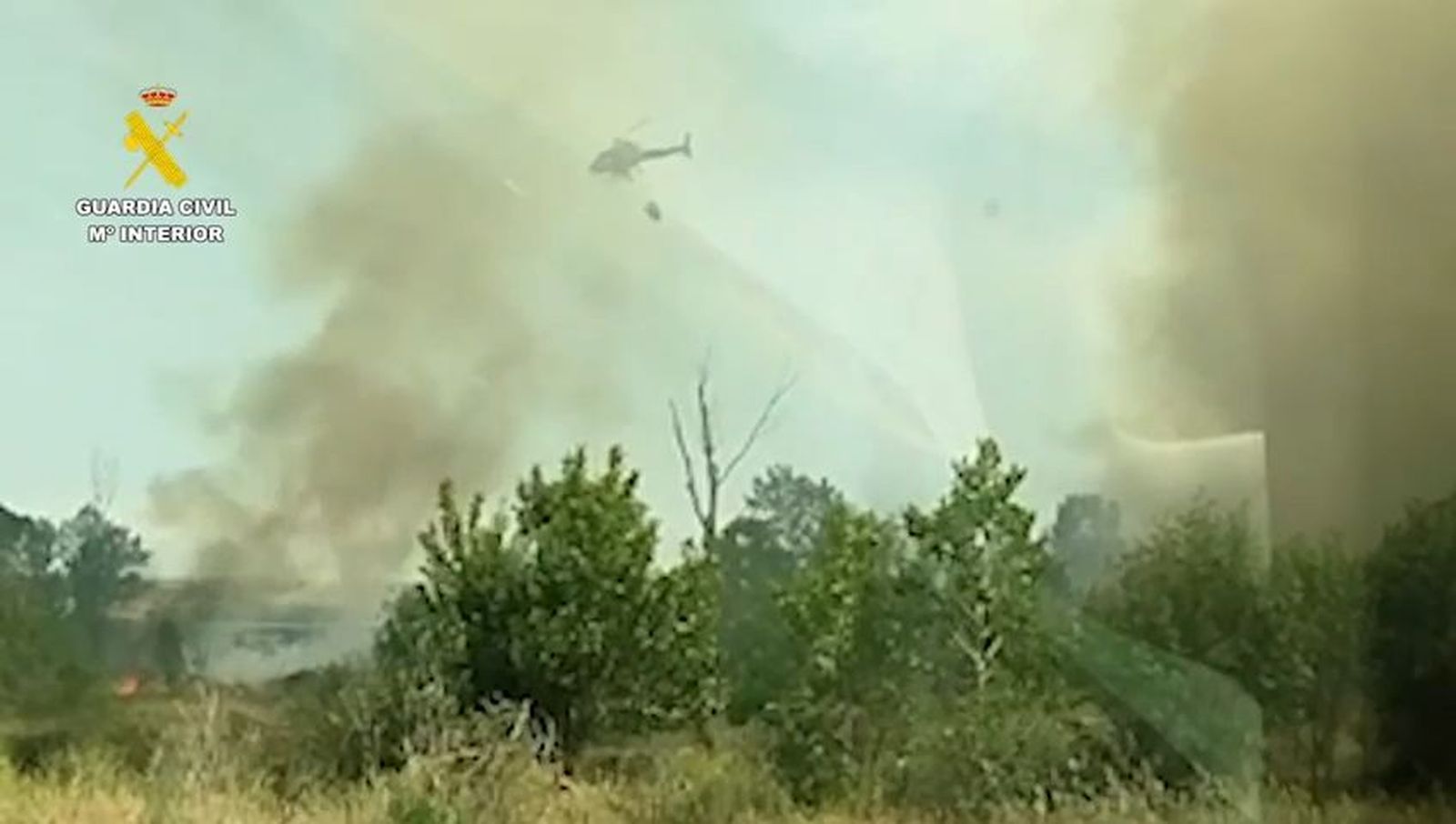 La Guardia Civil esclarece cuatro incendios forestales en mayo en Pelayos de la Presa