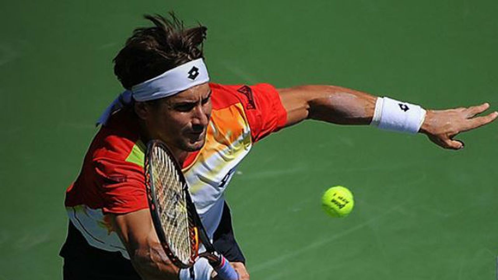 David Ferrer