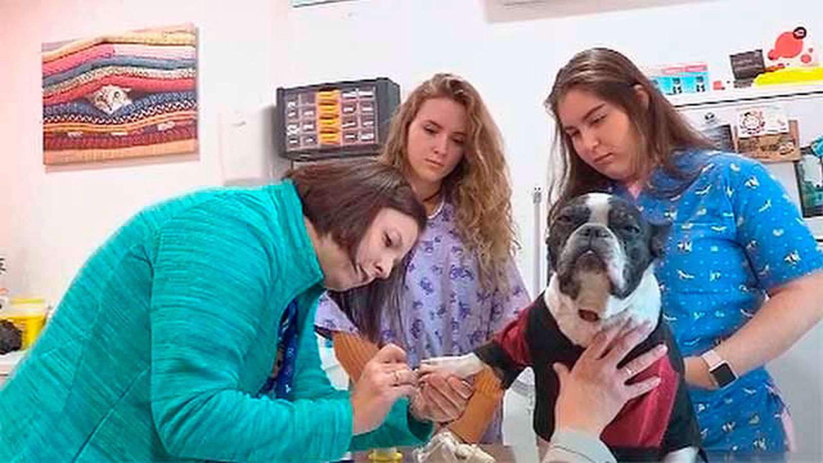 Clínica veterinaria