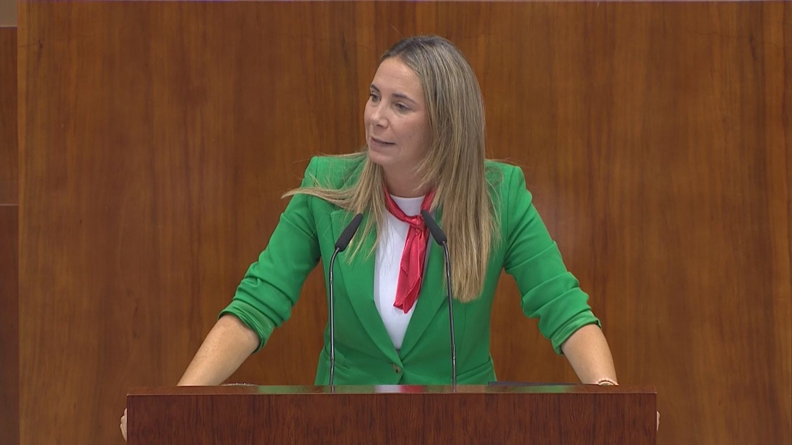 Mar Espinar, portavoz del PSOE-M en la Asamblea de Madrid