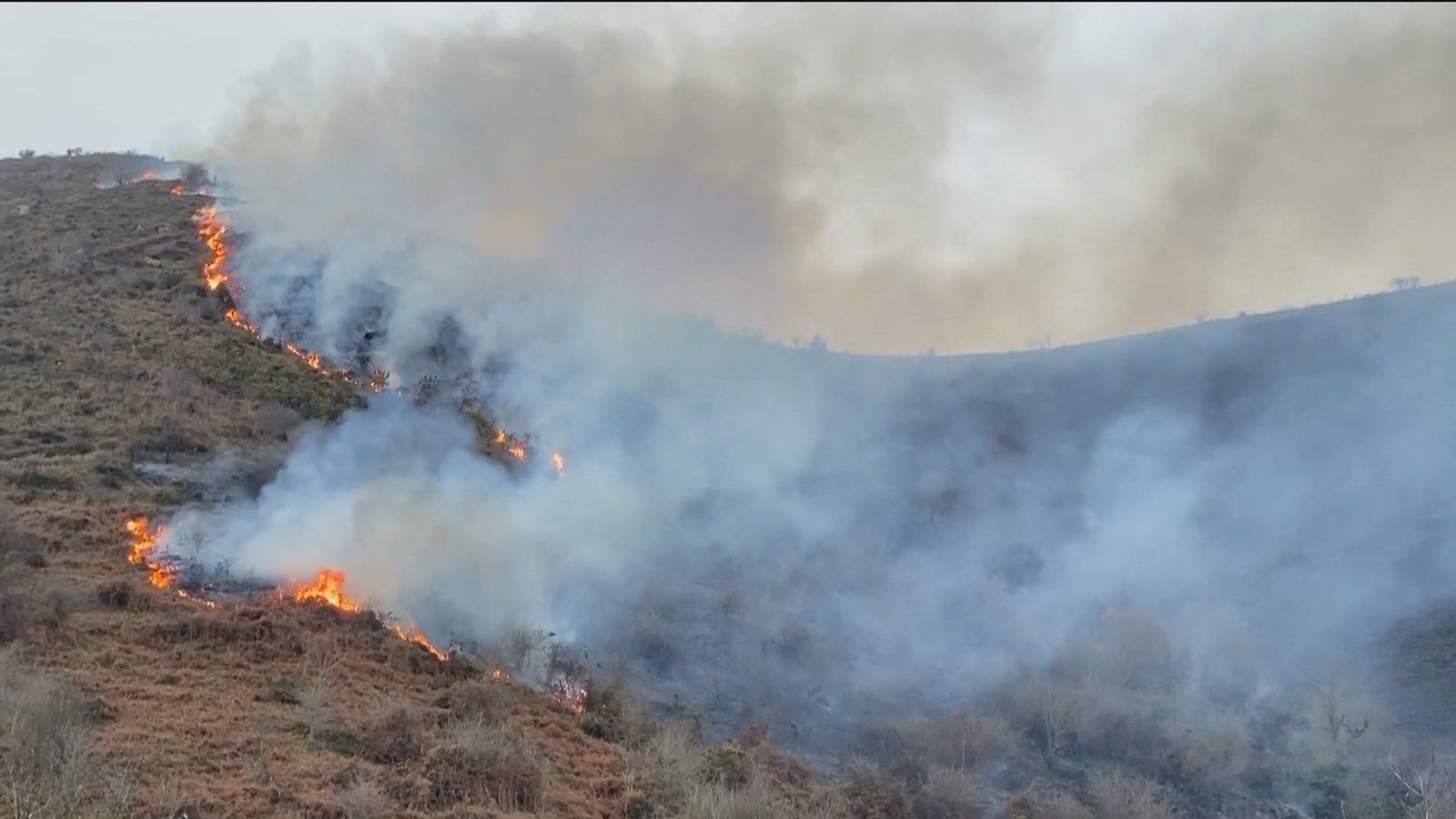 Los 155 incendios en 16 días en Cantabria han sido provocados y han quemado más de 1.500 hectáreas