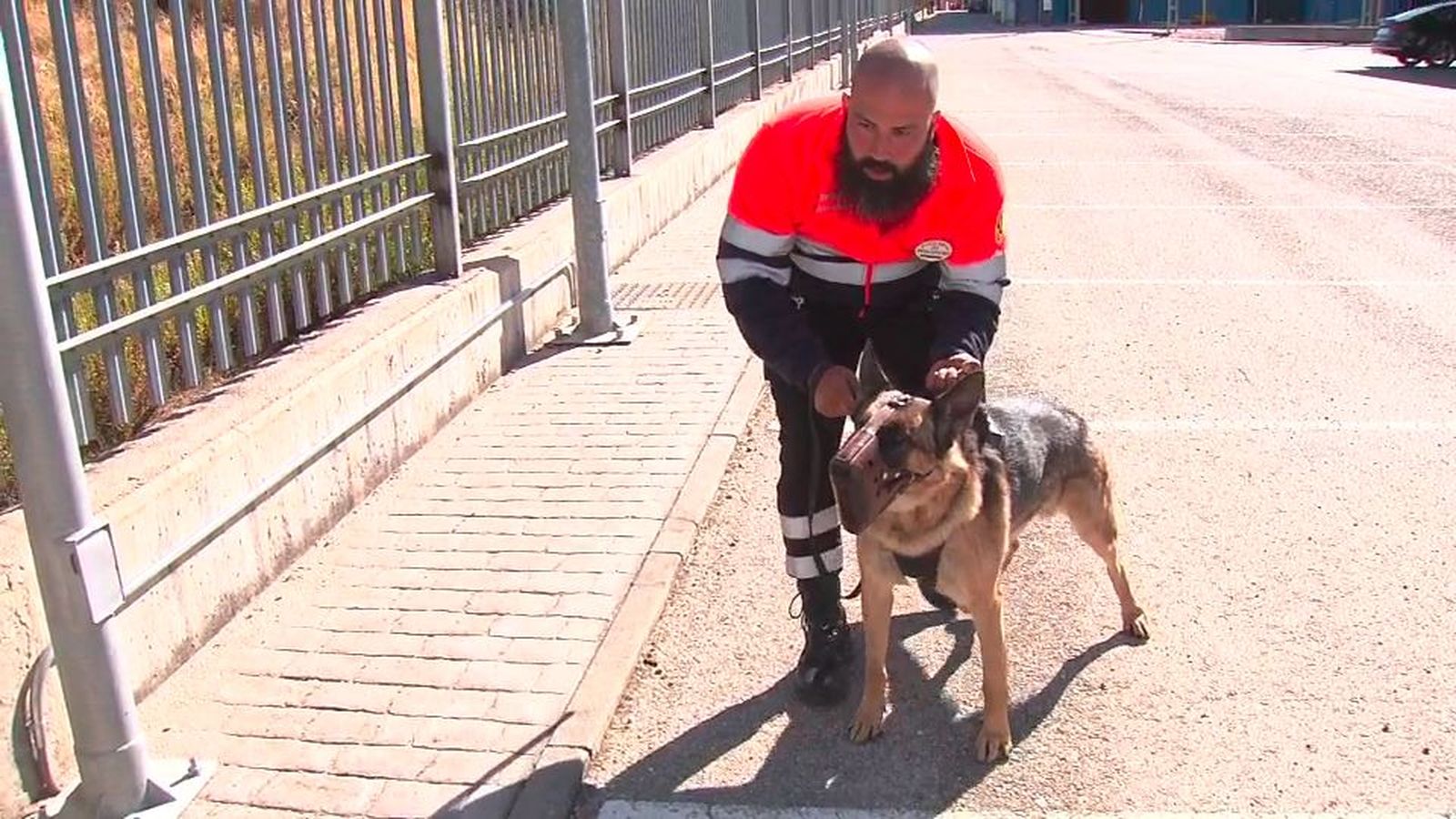Yago, el perro que combate a los grafiteros en el metro de Madrid