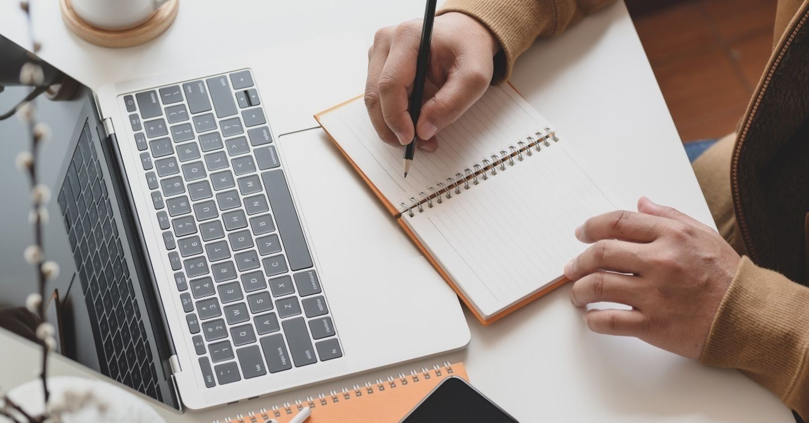 Nuevos cursos de formación