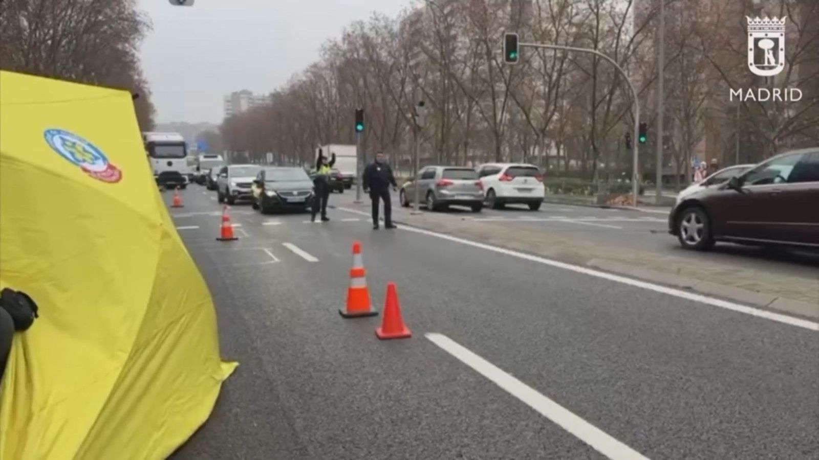 Herida grave una mujer de 80 años al ser atropellada en un paso de peatones de Avenida de la Ilustración