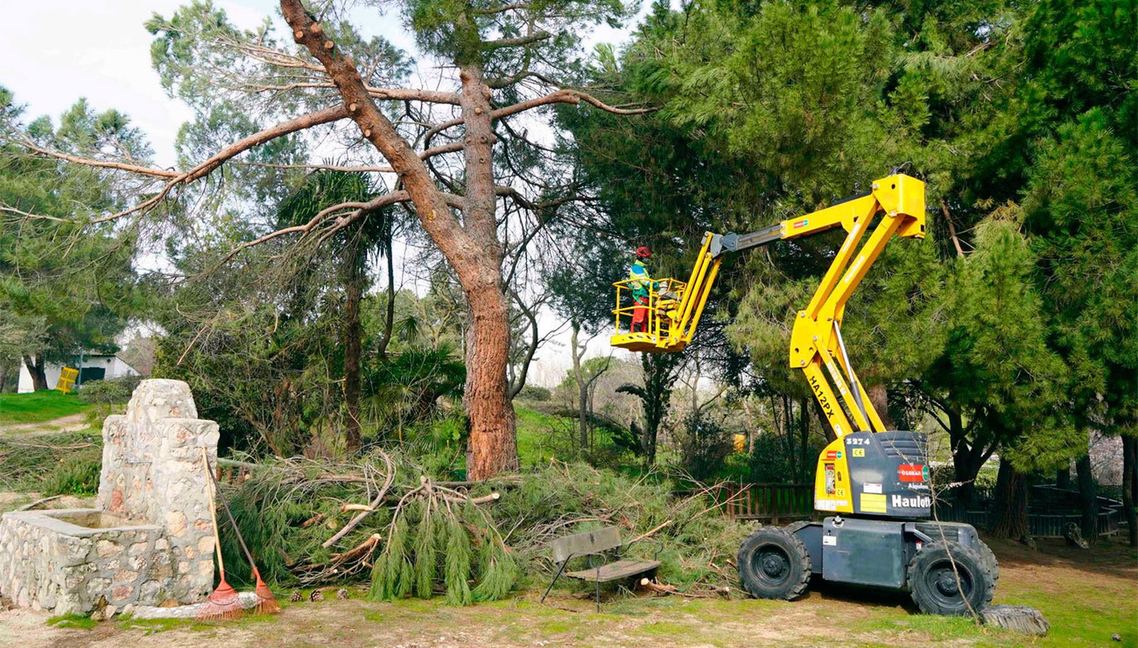 limpieza de parques en Móstoles por los daños de Filomena