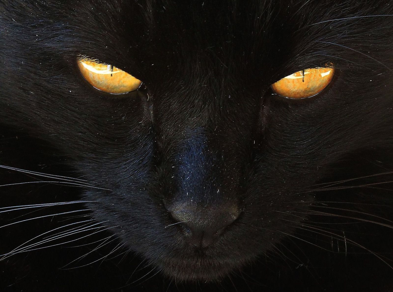 Conocemos a Tamara, una madrileña que tiene todas las supersticiones posibles