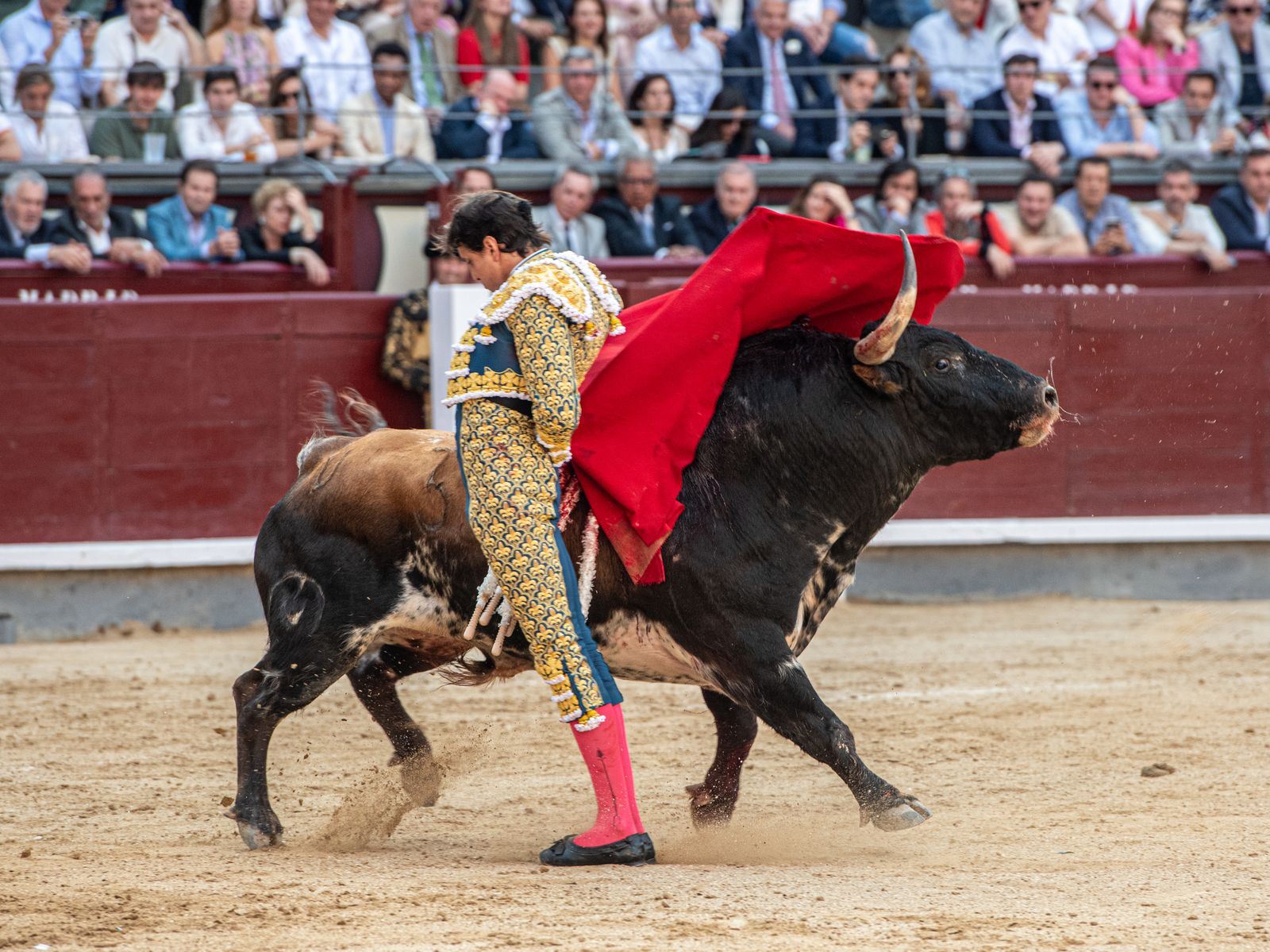 Feria de San Isidro 2024