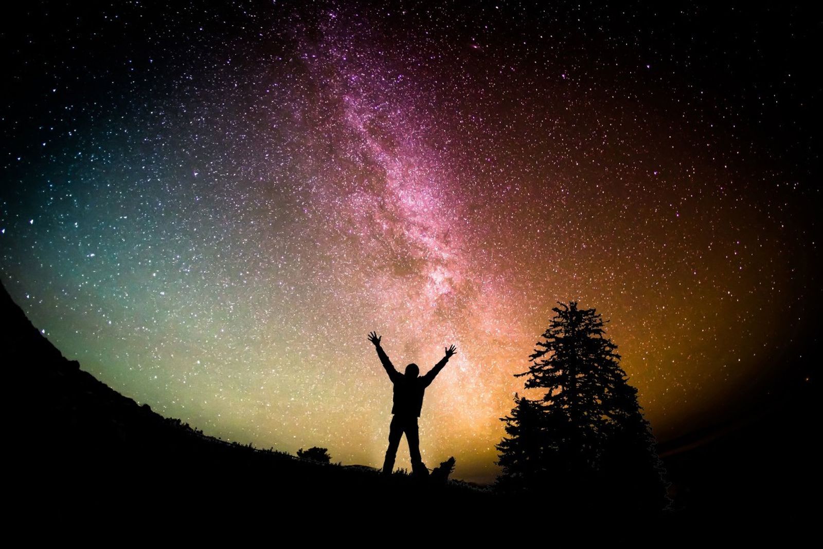 Contemplando el cielo nocturno