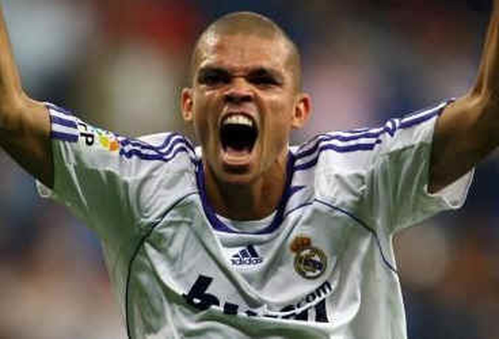 pepe3