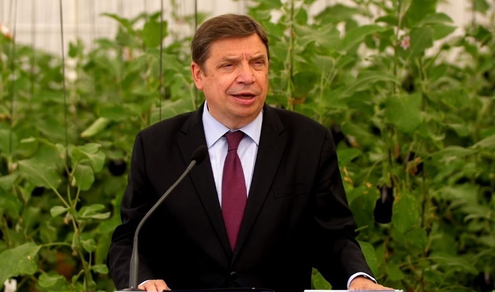 El ministro de Agricultura, Pesca y Alimentación, Luis Planas