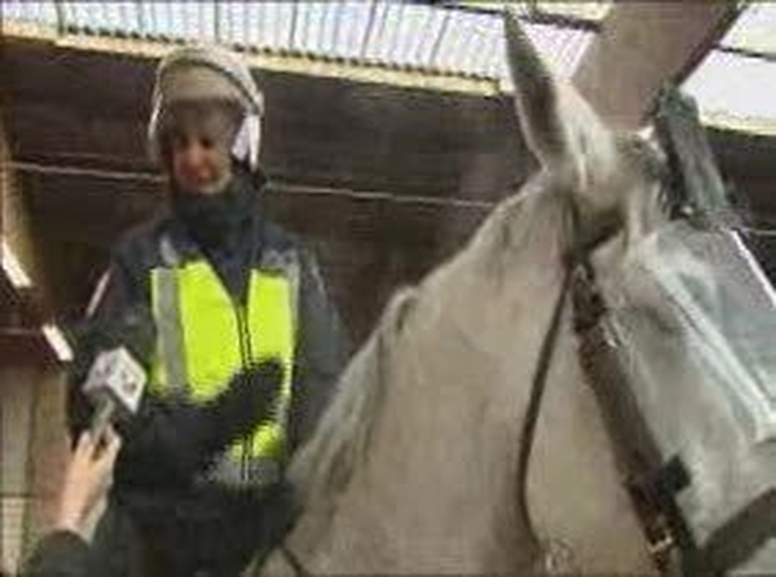 5EQUINO_2011124V0.wmv