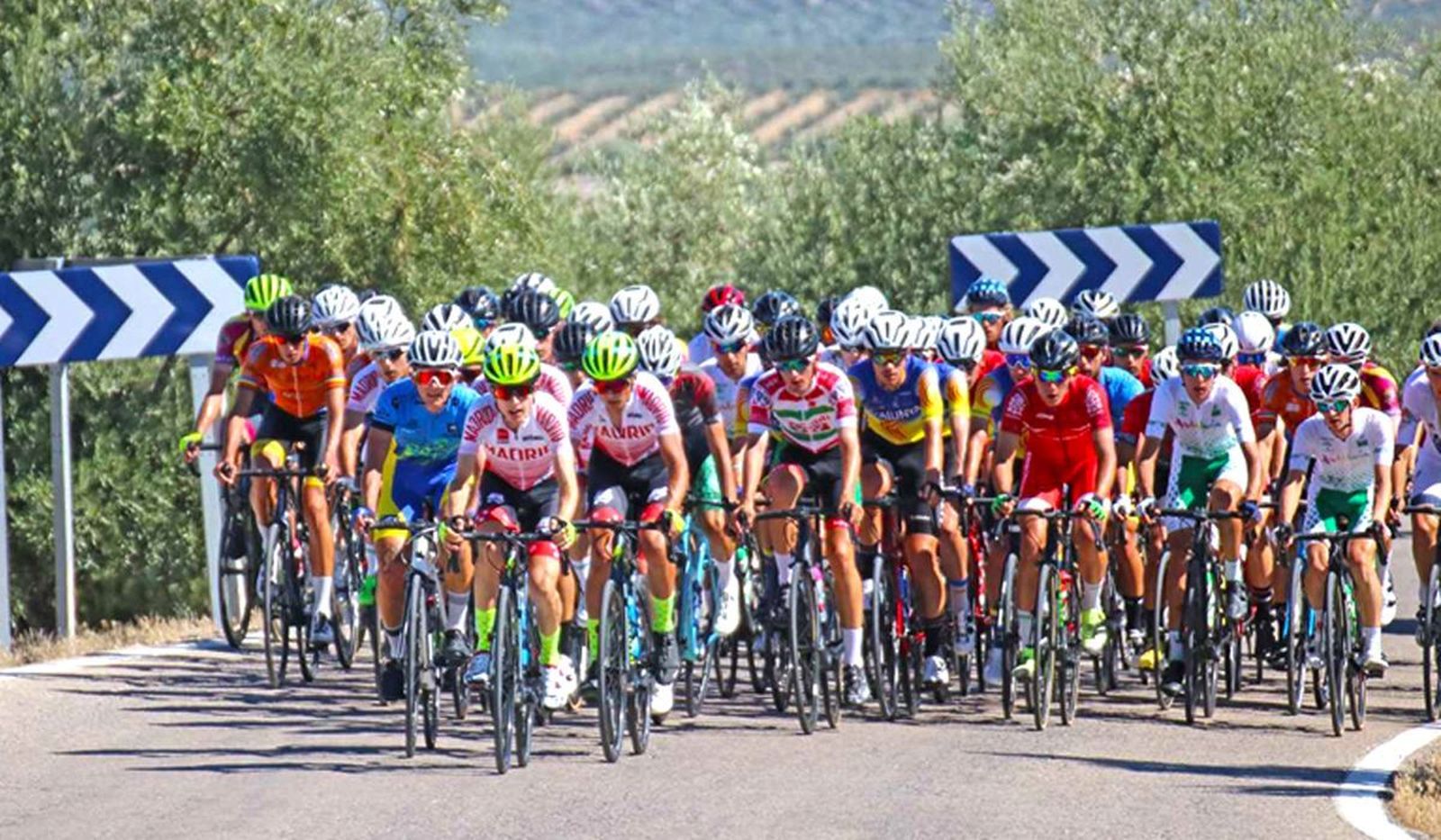 Campeonato de España de Carretera