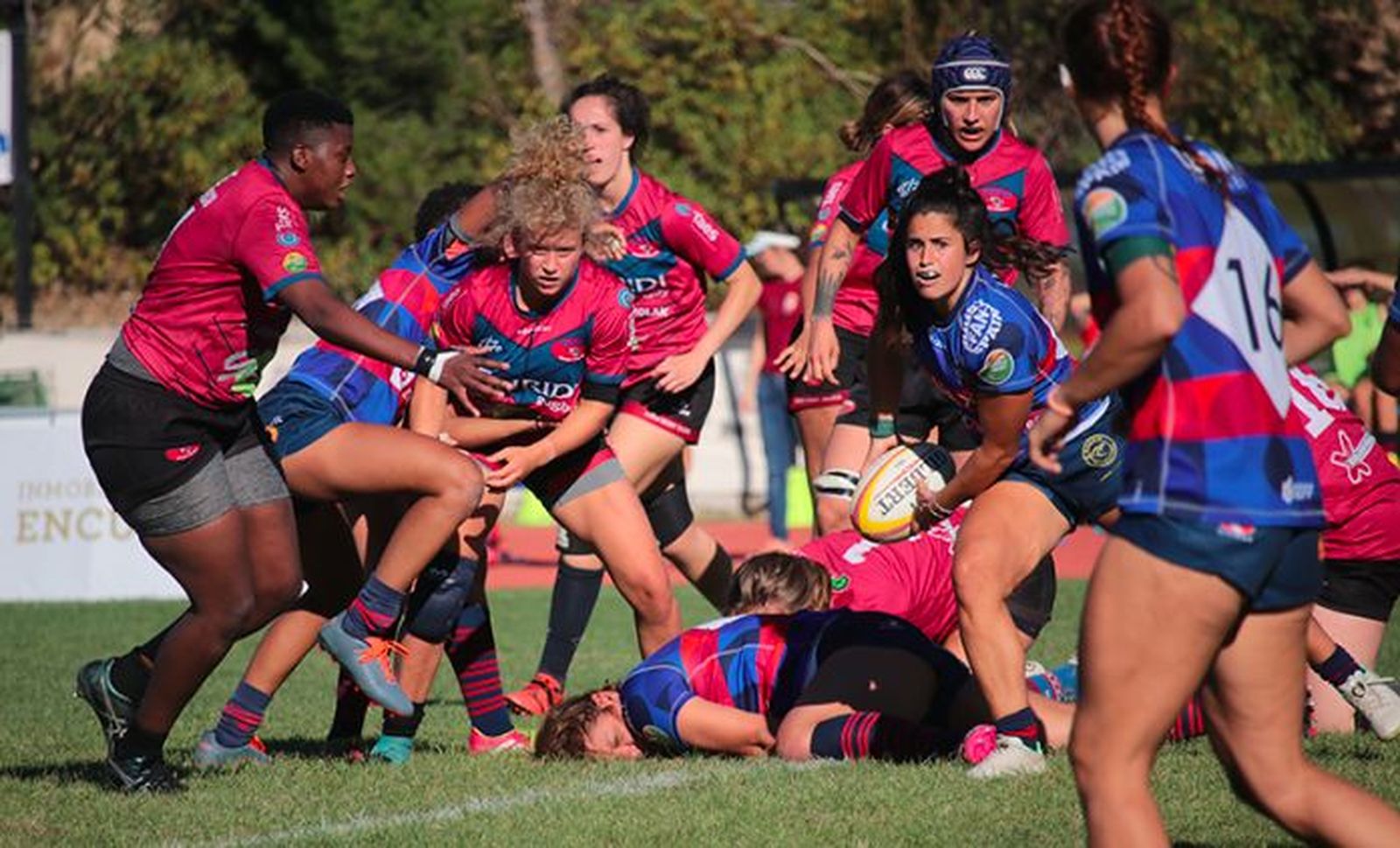Rugby Majadahonda