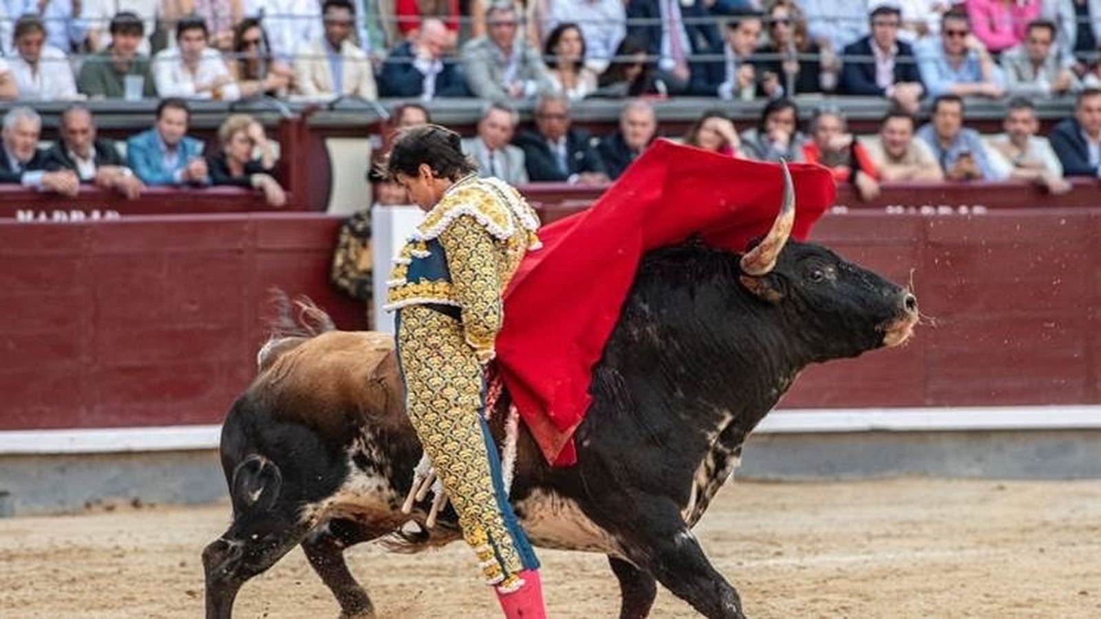 Telemadrid redobla su apuesta y retransmite íntegra la Feria de San Isidro por segundo año consecutivo