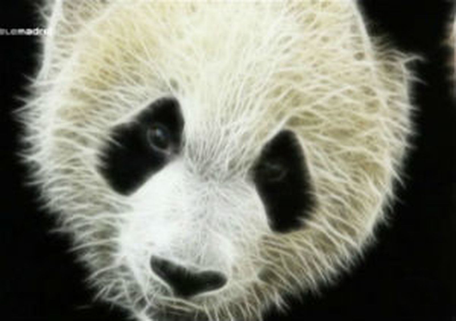 Zoo