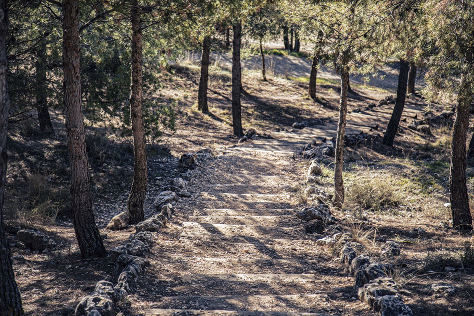 Parque Mazalmadrit